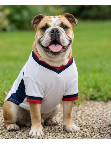 POT-PP008-T-shirt de football pour chien
